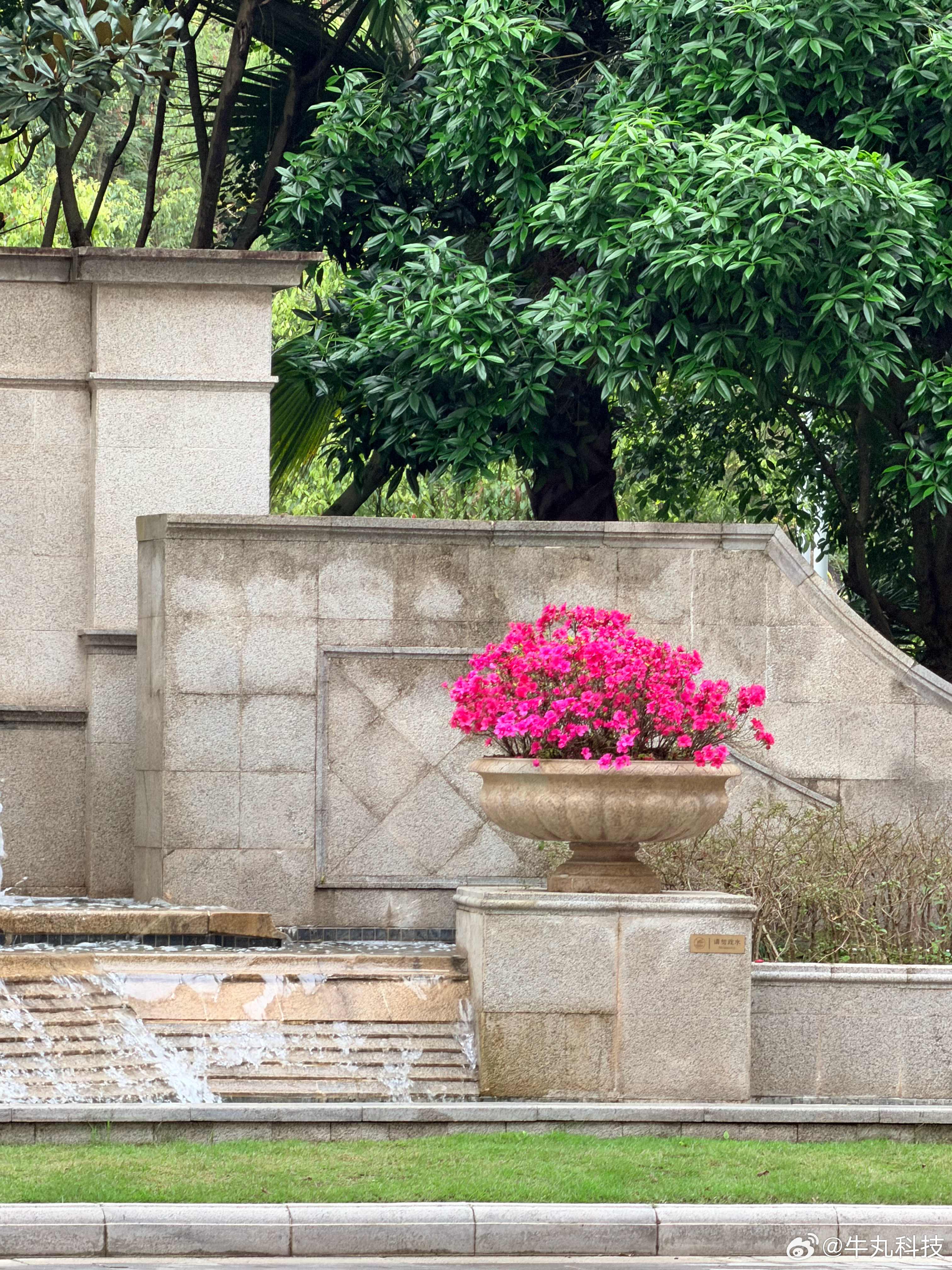 早安，同学们！重庆怎么这么冷？冻得我瑟瑟发抖！今天去深蓝工厂沉浸式体验顶尖电驱 