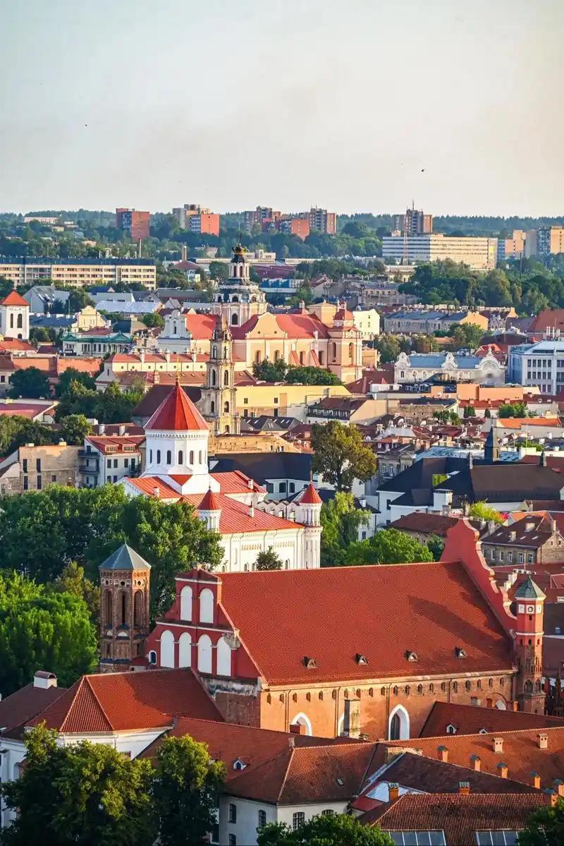 【立陶宛新总理鲁吉涅内公开承认，当年允许台湾当局在其首都维尔纽斯设立所谓