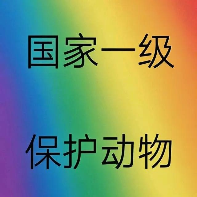 32层居民楼承重墙被装修误拆哈尔滨拆承重墙没处理好。高层建筑法律条文严重欠缺。赔