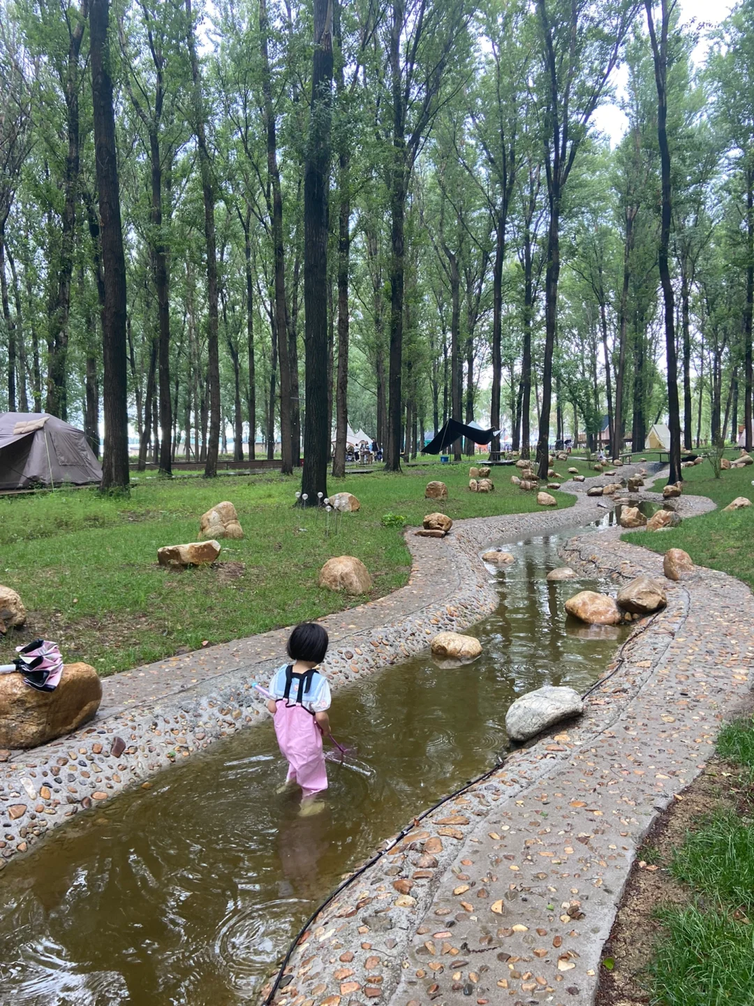 周末逃离城市计划❗沈阳“暮光森林”BBQ露营