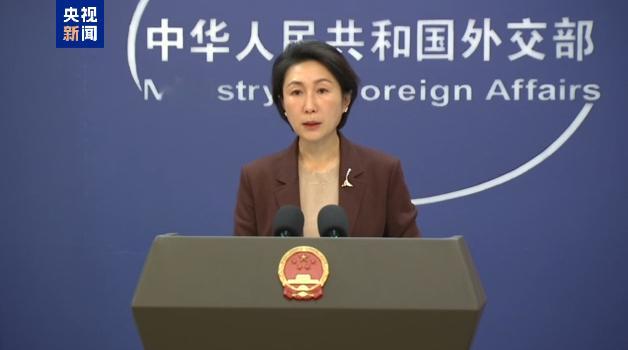 【外交部：若菲方一意孤行必将搬起石头砸自己脚】12月26日，外交部发言人毛宁主持
