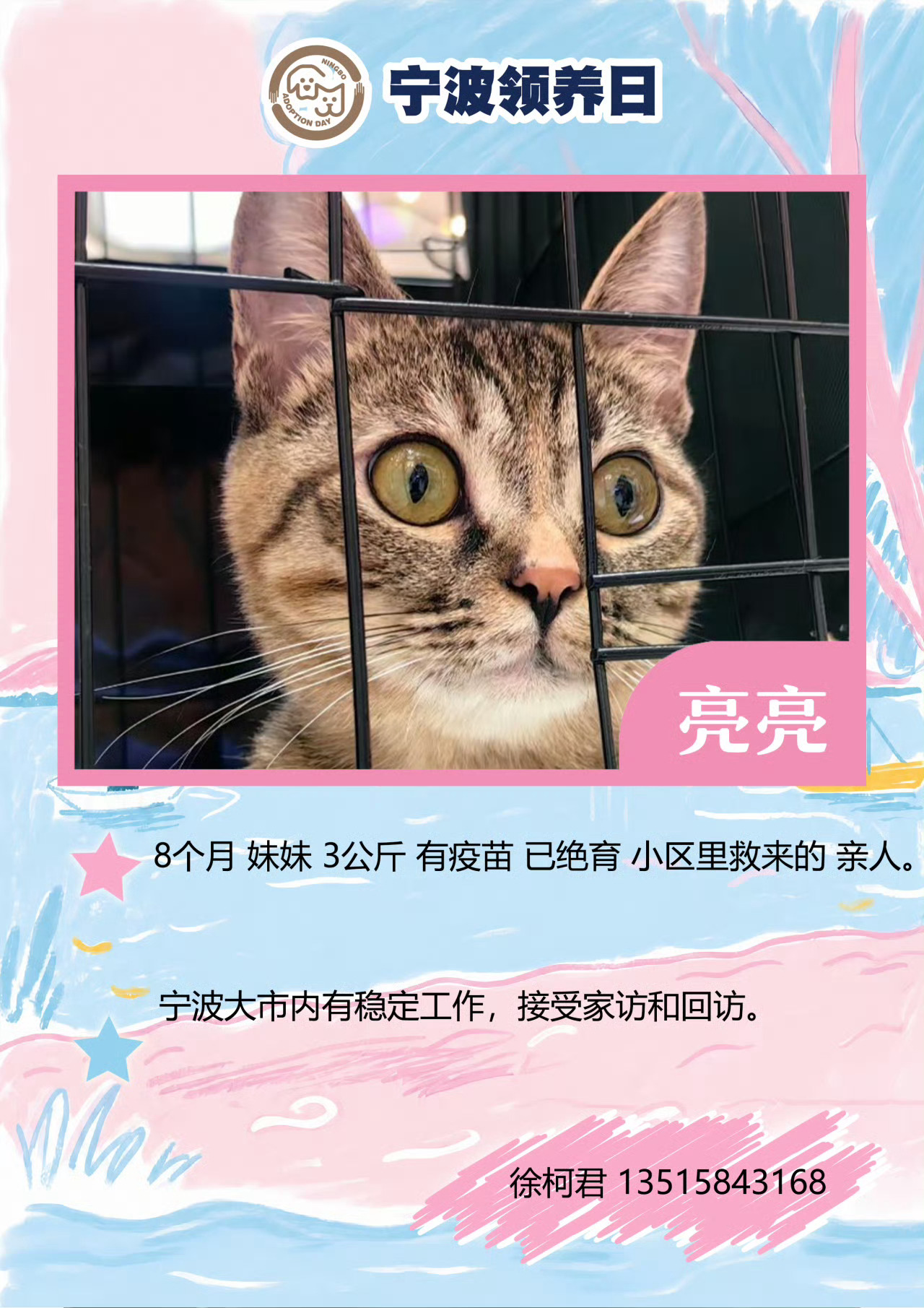 第112届宁波领养日来了 第112届宁波领养日来了🐱🐶5月16日（周六）下午