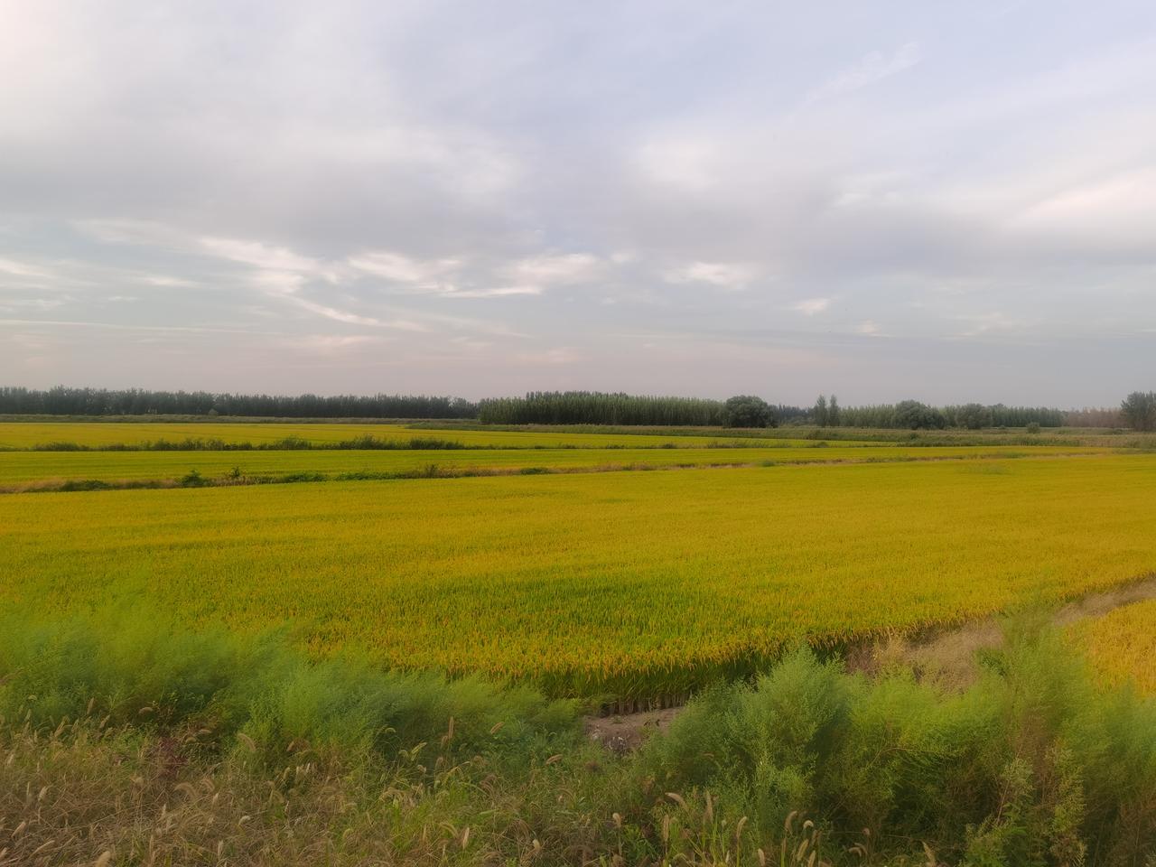 身体应该是最强韧的一部机器，只需要按时吃饭、睡觉，便可正常运转，如果再稍加运动，