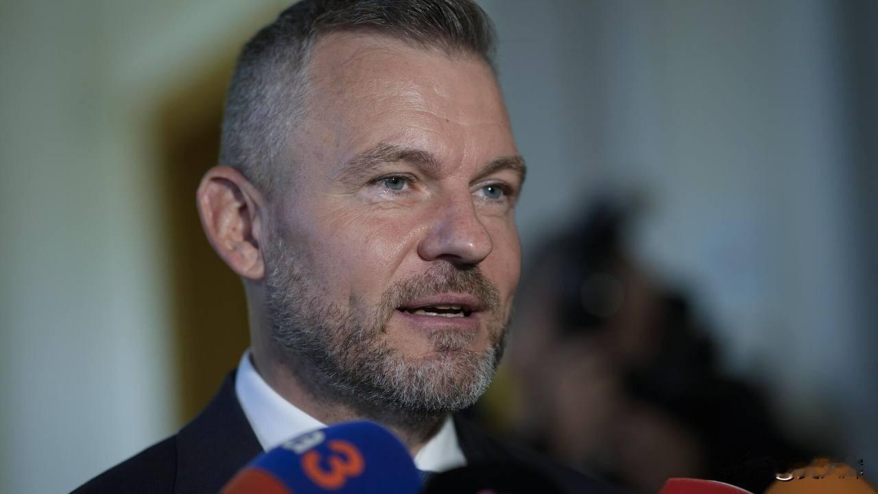 斯洛伐克总统彼得·佩莱格里尼被列入乌克兰“和平缔造者”网站的数据库。
 
12月