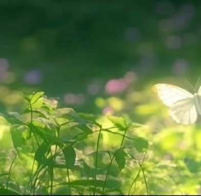 不需要有别人证明自己，成为自己想成为的人。生命中，那些不友善，不懂尊重的人，你可
