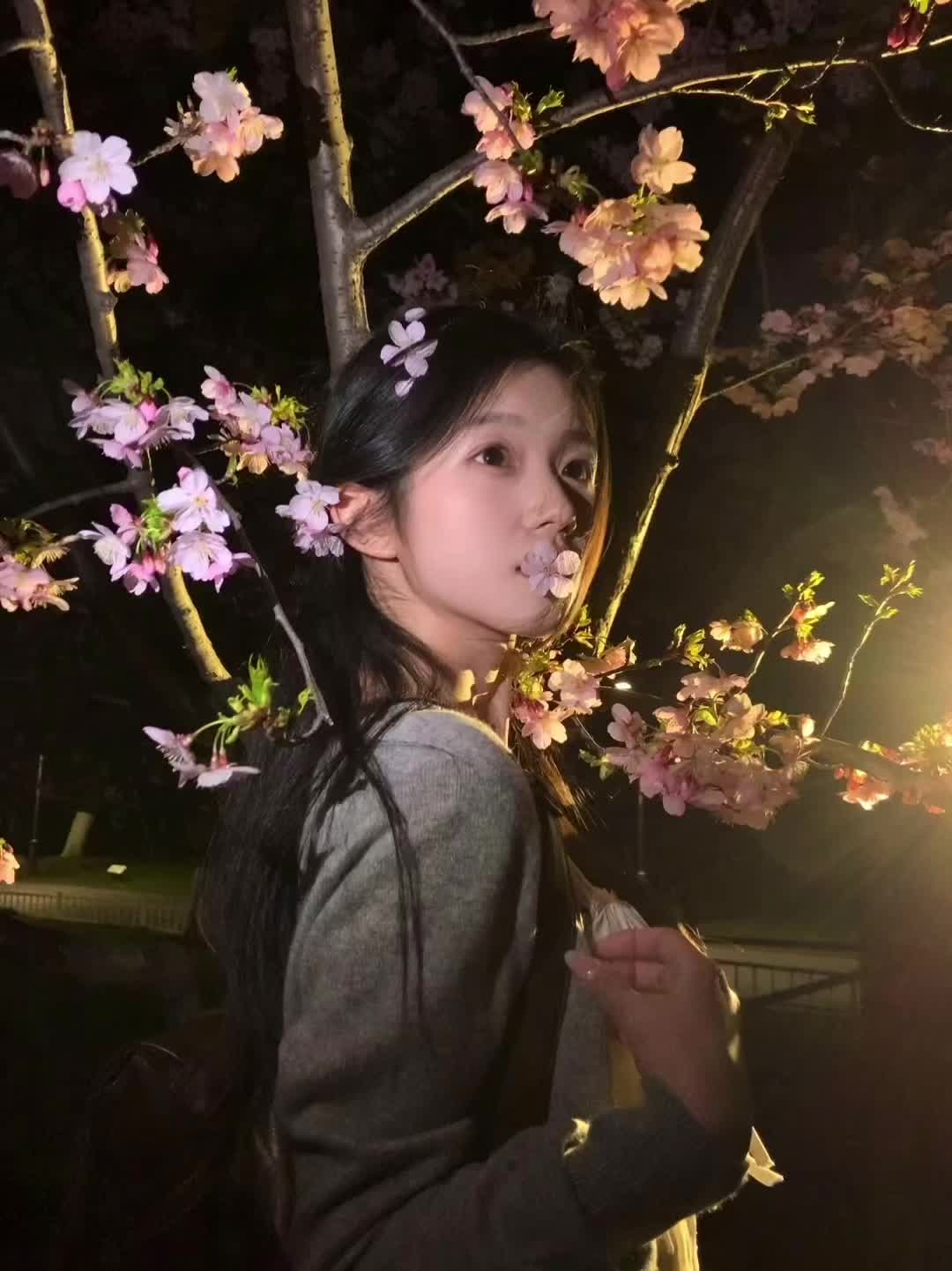 凌晨四点我看见海棠花未眠 这组被搬运的好多 那我也来发一发 希望不要被限流🥹