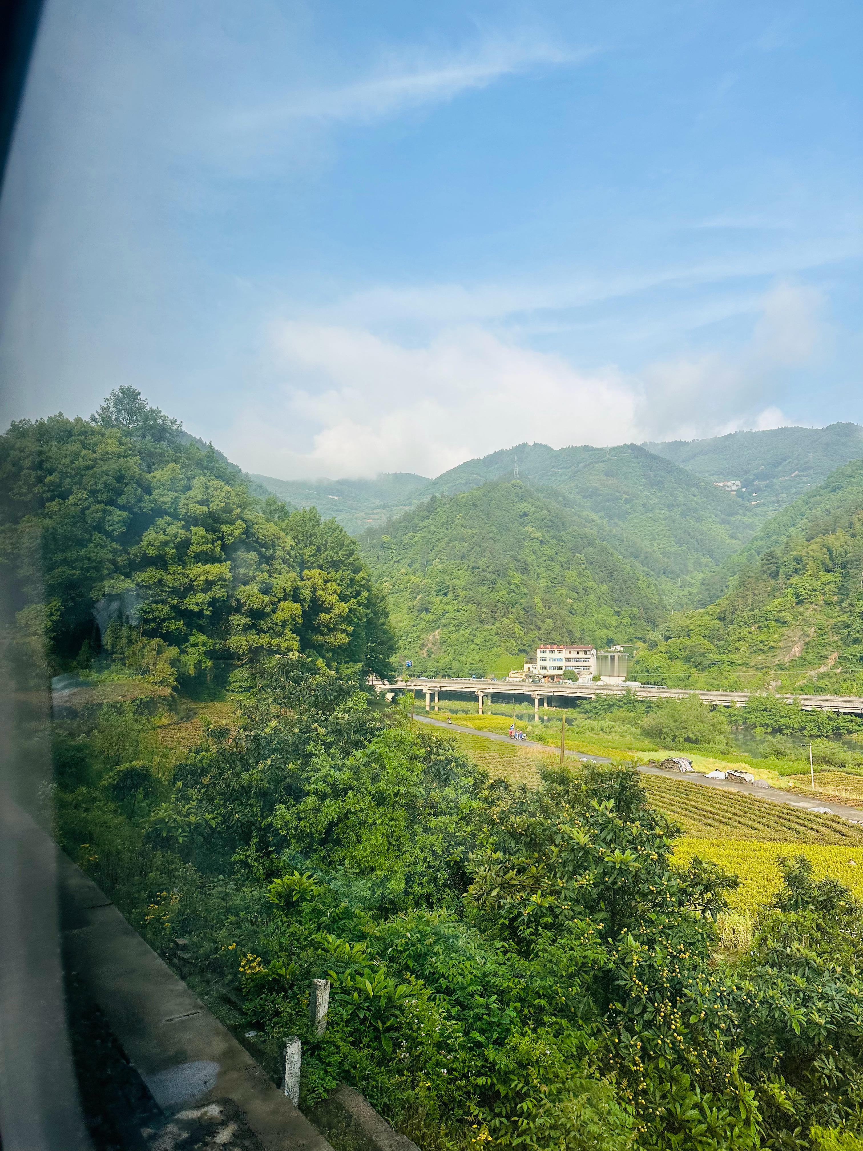 看风景、穿球衣 ​​​