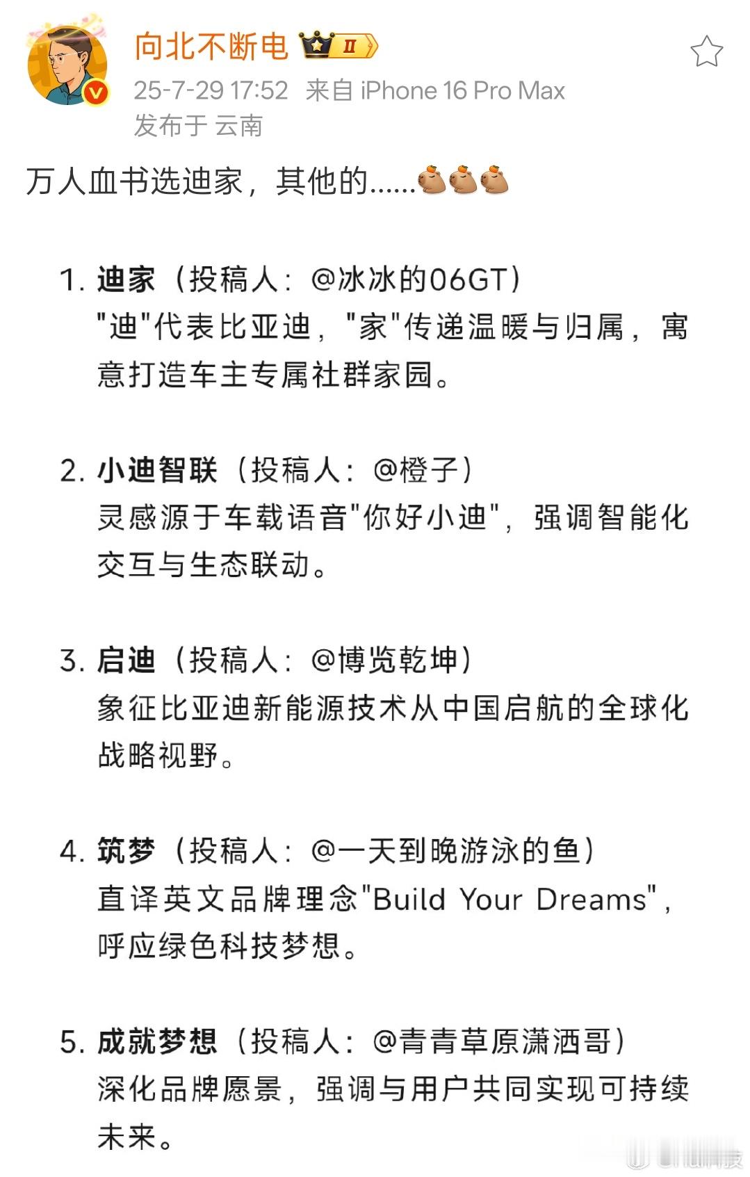 比亚迪app名称我也觉得迪家行，简单明了好记、传达到位，英文都好翻译D's Ho