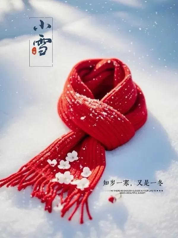 《小雪》
一程霜雪一岁寒，
一生风雨一世难。
朱颜辞镜花辞树，
落尽繁华此心安。