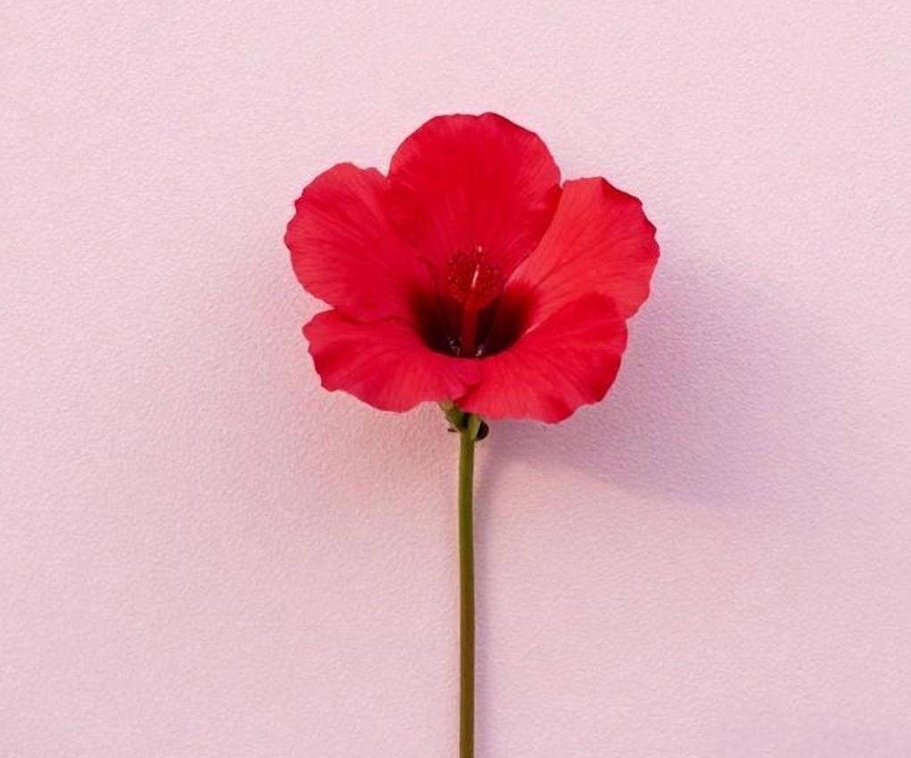 除了变好和赚钱，
就是享受独处，
跟自己无关的人和事，
不闻不问，
不听不说，