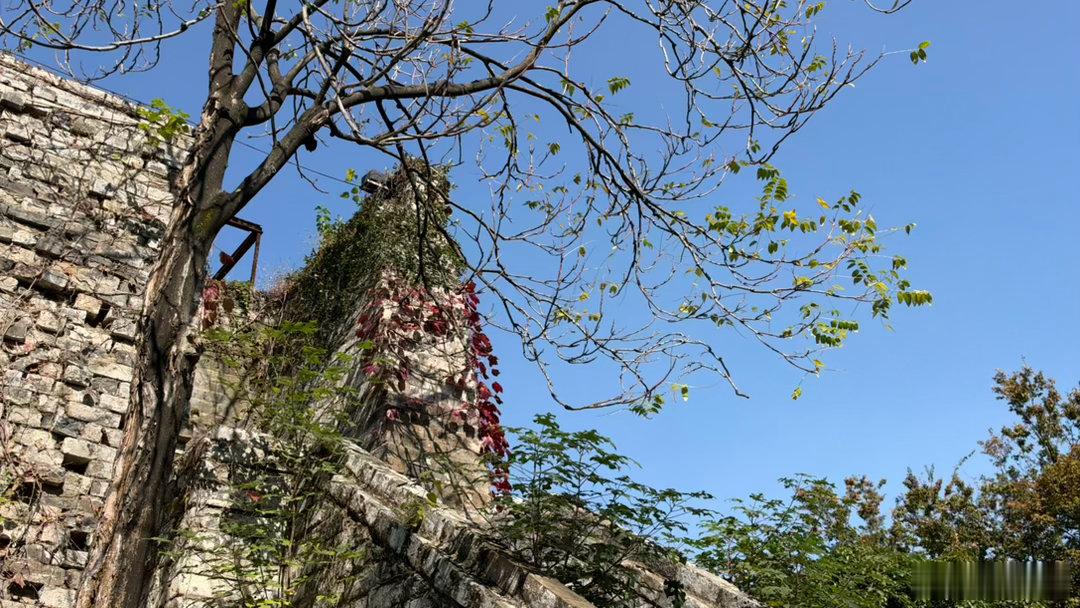 触碰650年的明城墙。明故宫其实比故宫还大一些，不管皇城、宫城还是主殿。 ​​​
