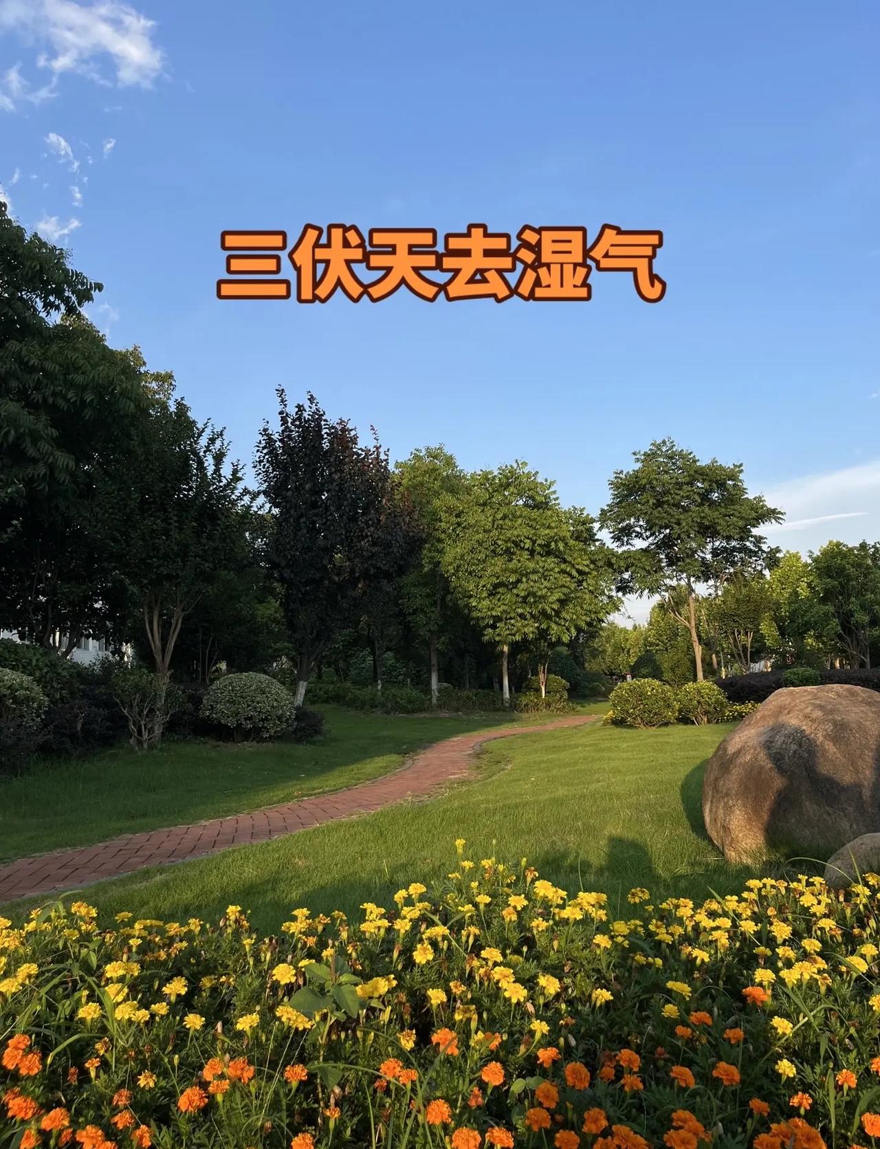 斯诺克迎来新霸主!吴宜泽创下世锦赛全新纪录，诞生首位00后世界冠军。决赛极限绝杀