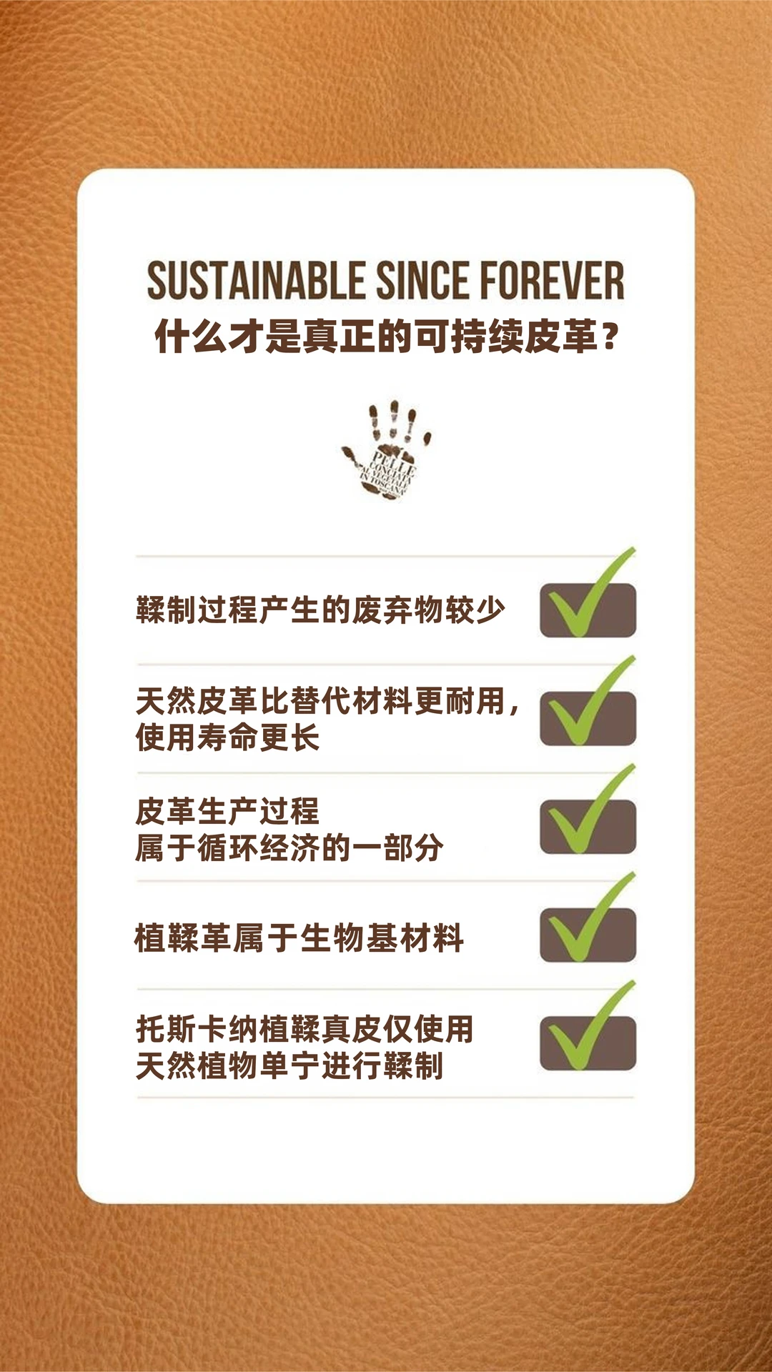 🌿 什么才是真正的可持续皮革？