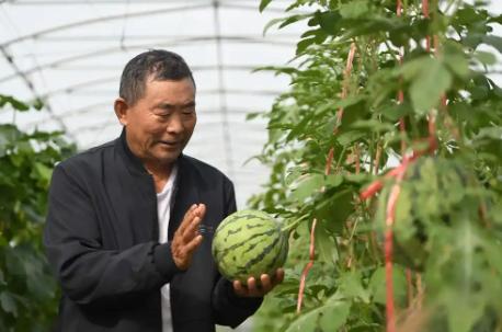 一个连字都不认识、没读过大学的农民姜向涛，居然解决了美日众多专家研究了十几年都没