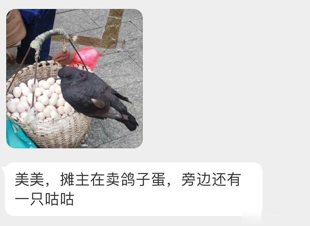 ？？？咕咕和它的孩儿们… ​​​