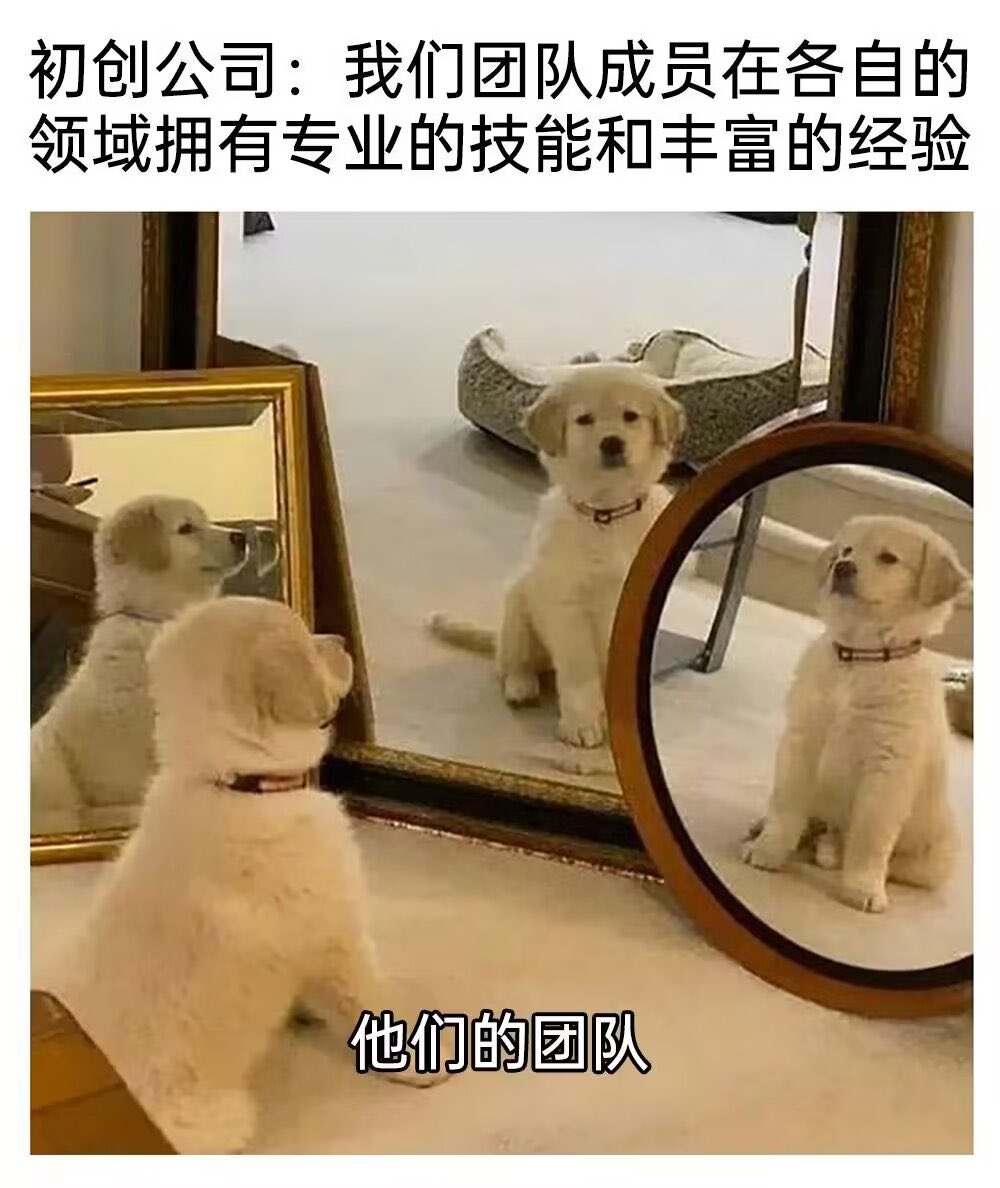 当你成为公司坚持到最后的员工时：#meme# ​​​