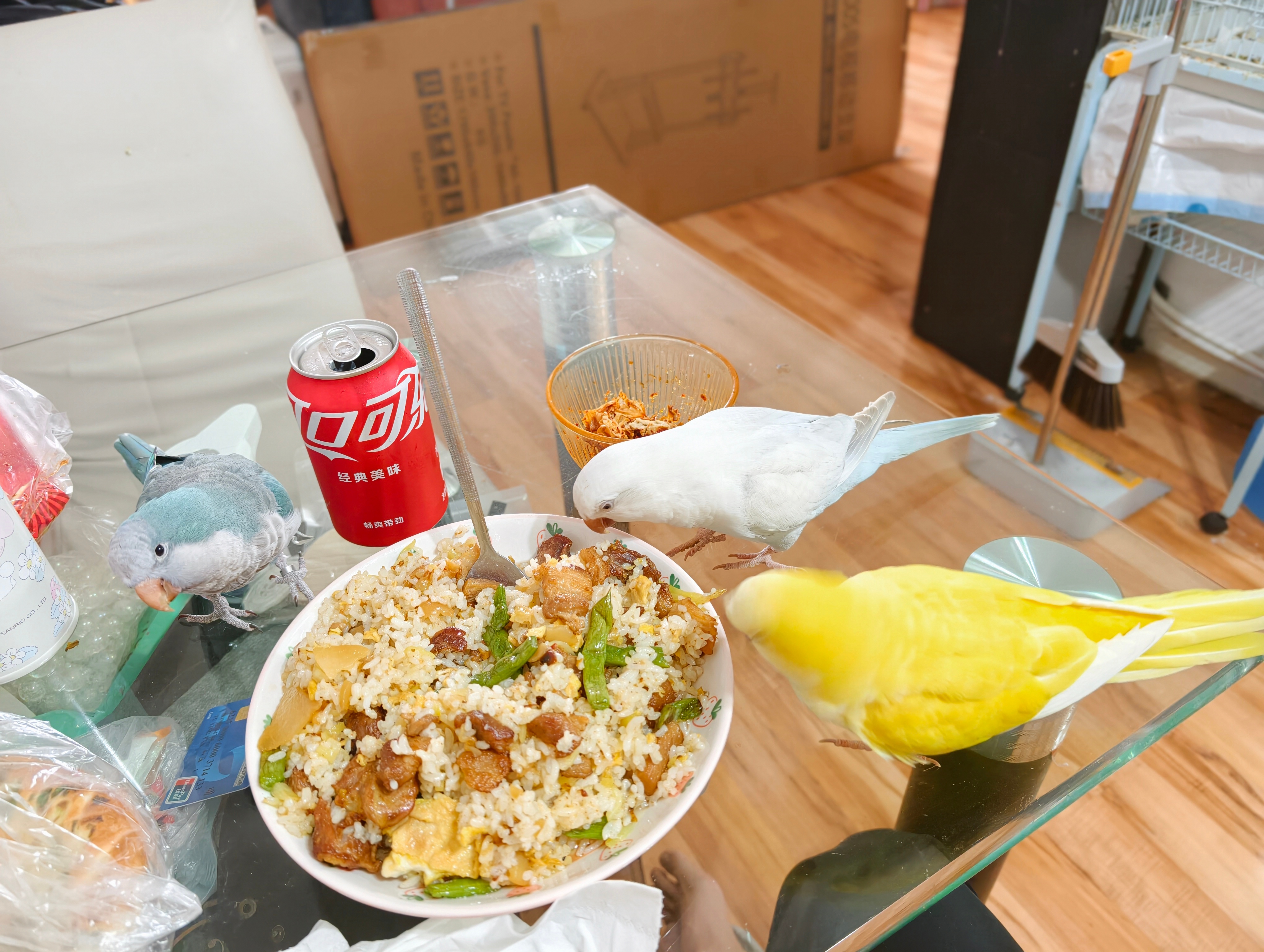 昨天点的烤串还有三串没吃完，中午拿来和昨天的剩饭一起炒着吃，又省一顿饭钱。这个羊