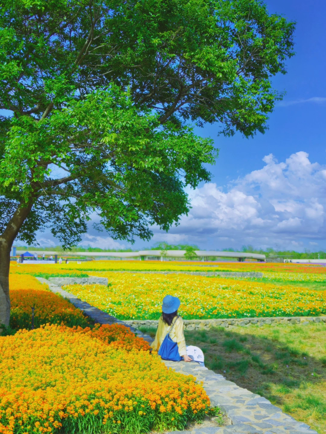南京出发 | 挑战周末出去玩（50/50）📍三台山
