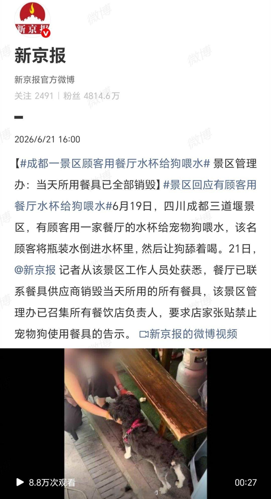 成都一景区顾客用餐厅水杯给狗喂水当时我就震惊了！顾客的“文明自觉”去哪了？用餐厅