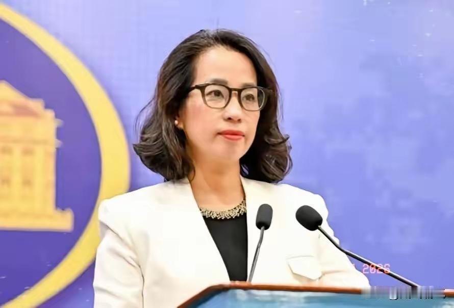 越南突然跳出来要求“中方尊重越南对西沙群岛的主权”！很多人以为这是双边领土争议的