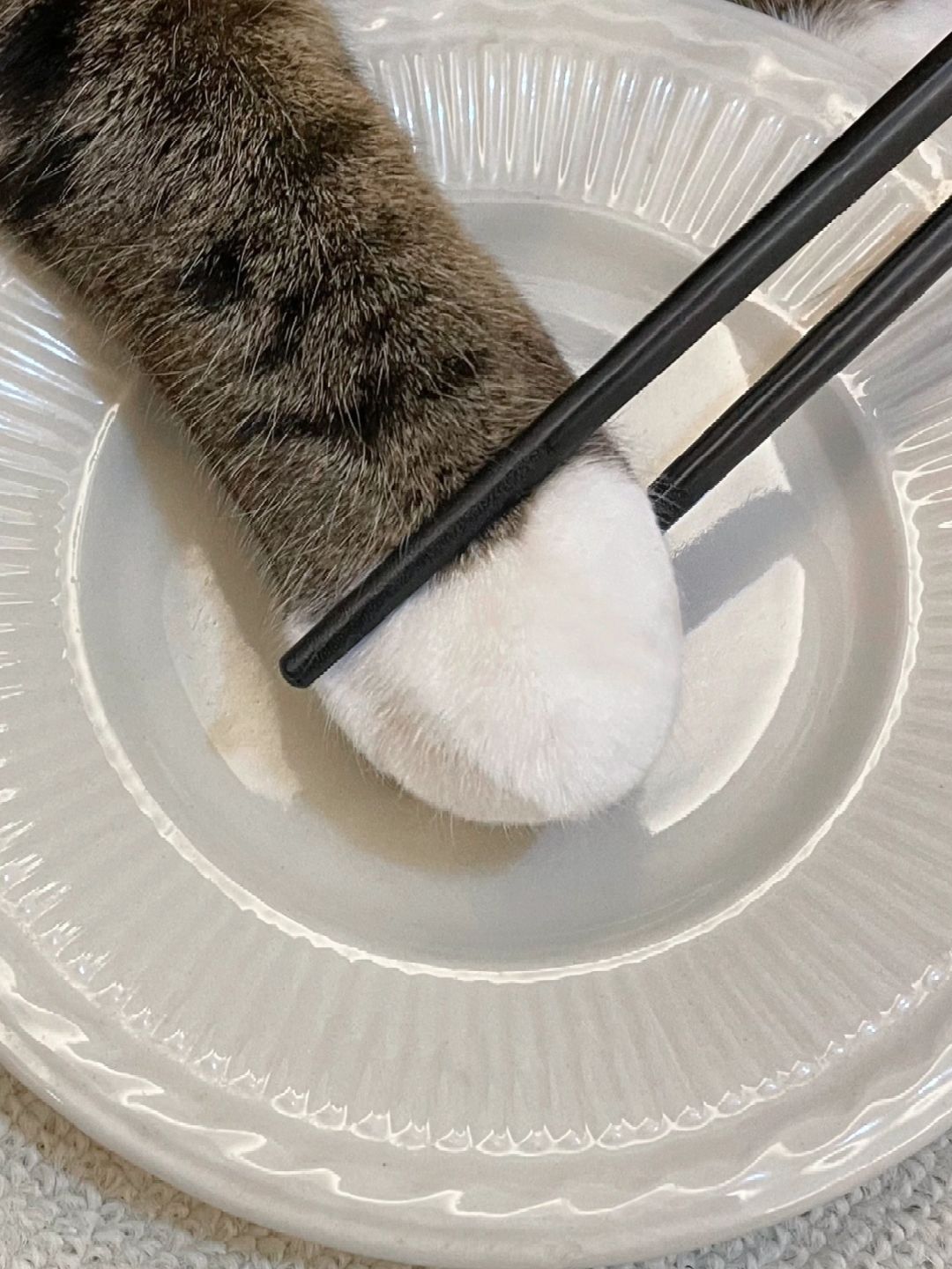 去年买的汤圆，长点毛应该也能吃吧？