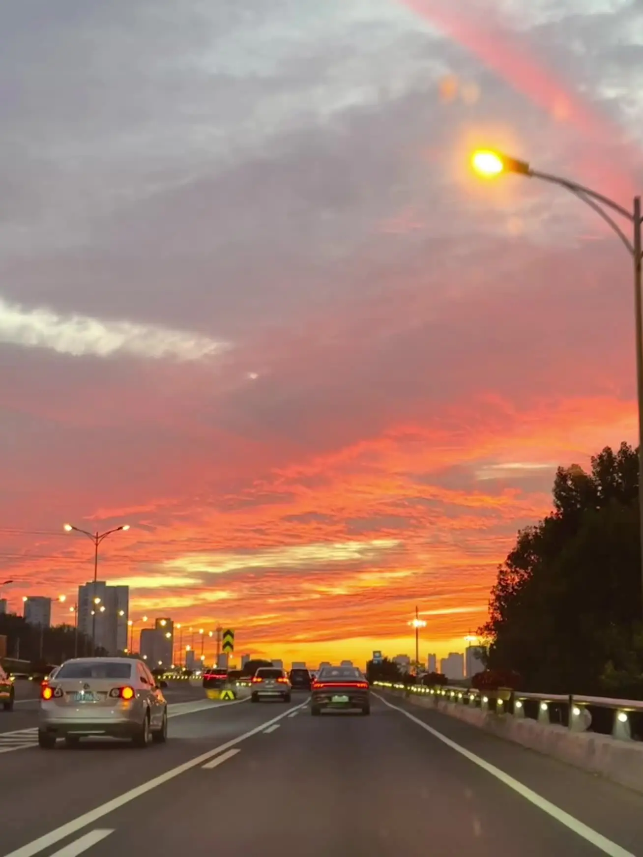 可以破碎 绝不能枯萎