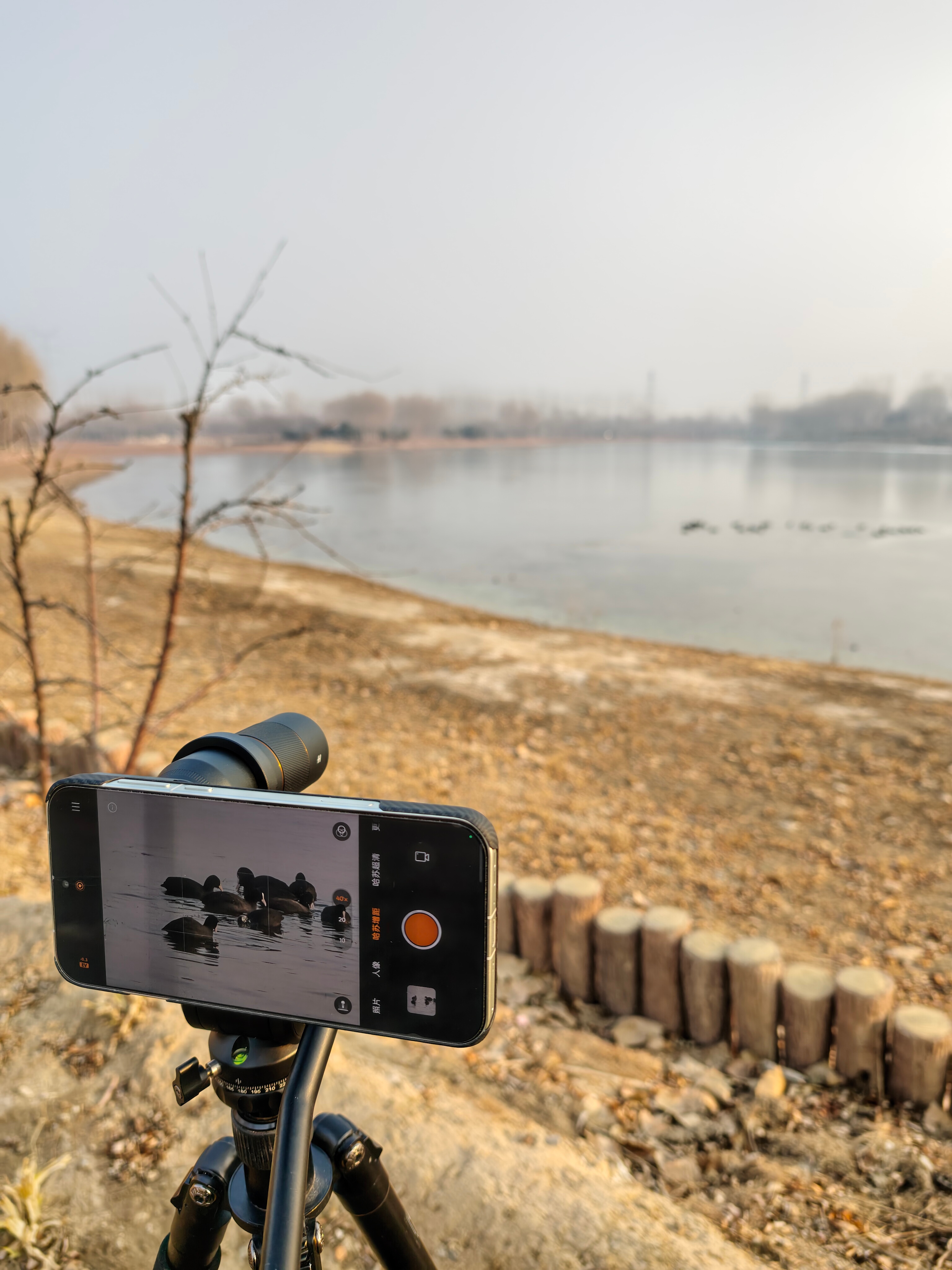 增距镜太强了OPPO可惜天气不好雾蒙蒙的 