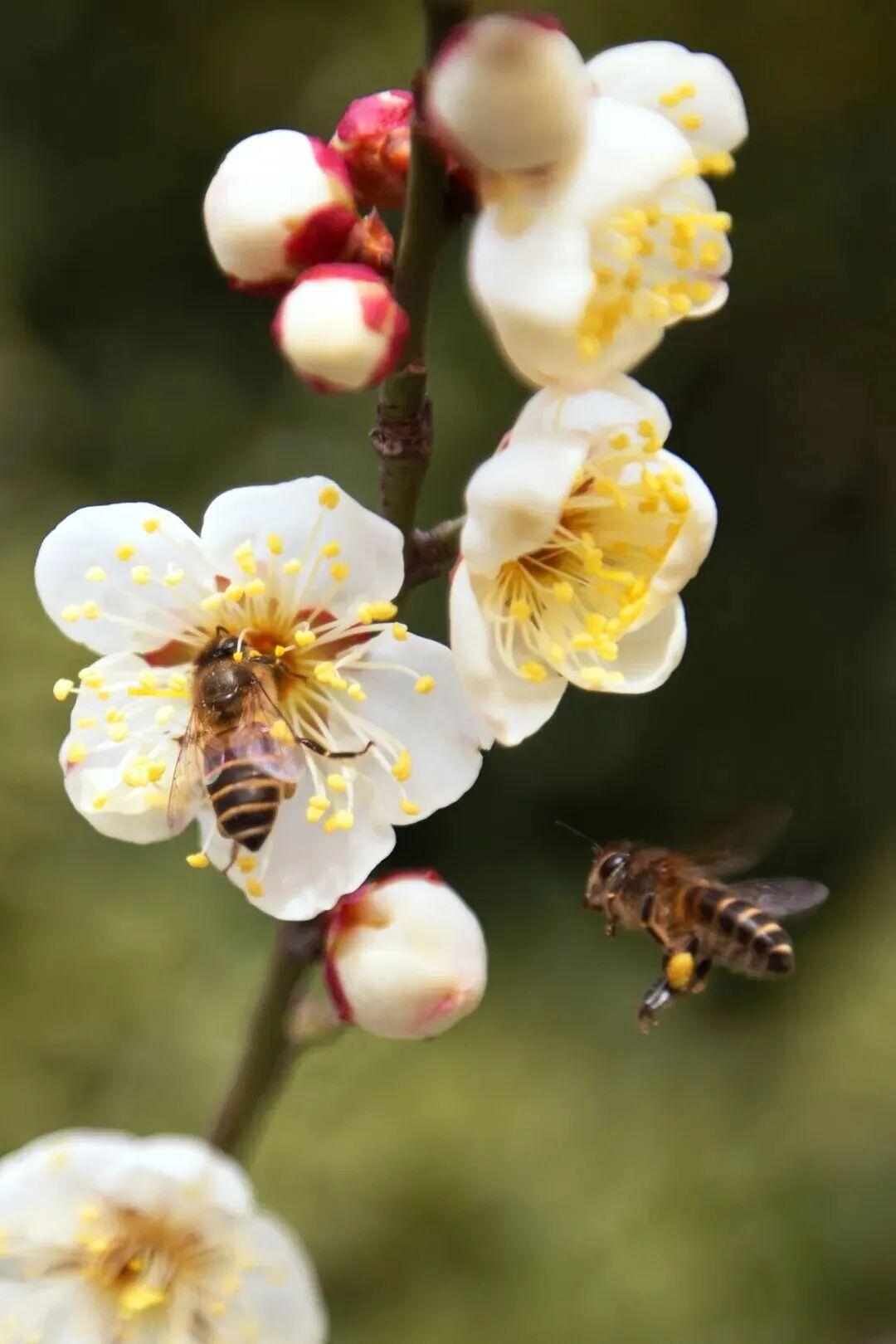 【茶有两种姿态：沉，浮；人有两种姿势：拿起，放下；沉时坦然，浮时淡然，人生不过一