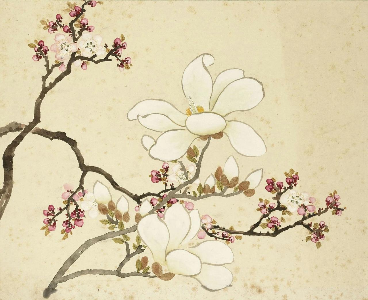 🌹诗词|人生足清闲，天下第一福。——【宋】郑侠《观孔义甫与谢致仕诗有感》
🌹