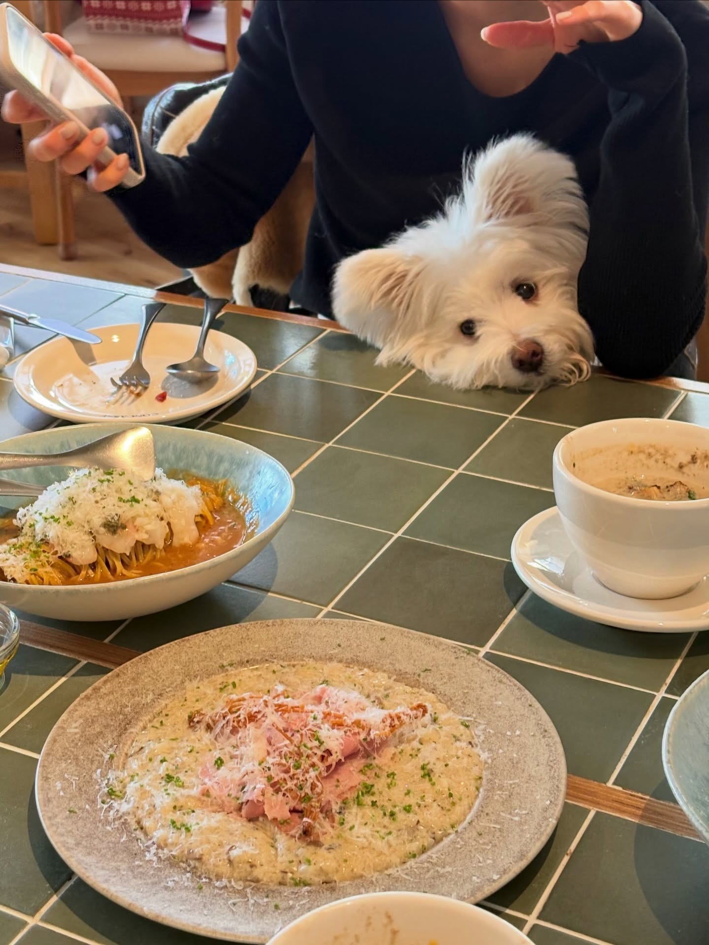 周美2月plog好好的在过生活天了噜 律师简历照这么美 