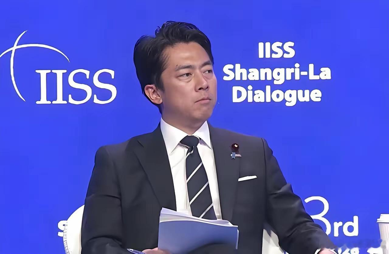 日本小泉进次郎的委屈和不甘全写在脸上，在2026香格拉里峰会上，他对着二战胜国发