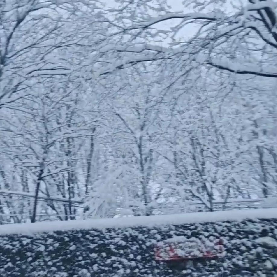 这雾气缭绕的，像不像老天爷在给城市蒸桑拿？我站在窗边，感觉自己快被煮成“蒸包”了