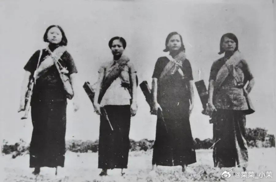 1951年春，海南文昌海风裹挟着沙粒，掠过乌石岛的礁石。解放军剿匪部队趁着拂晓出
