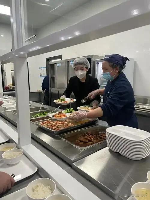 哎，单位食堂这饭… [叹气]
中午吃饭，又去单位食堂。
看着窗口里花花绿绿的菜，