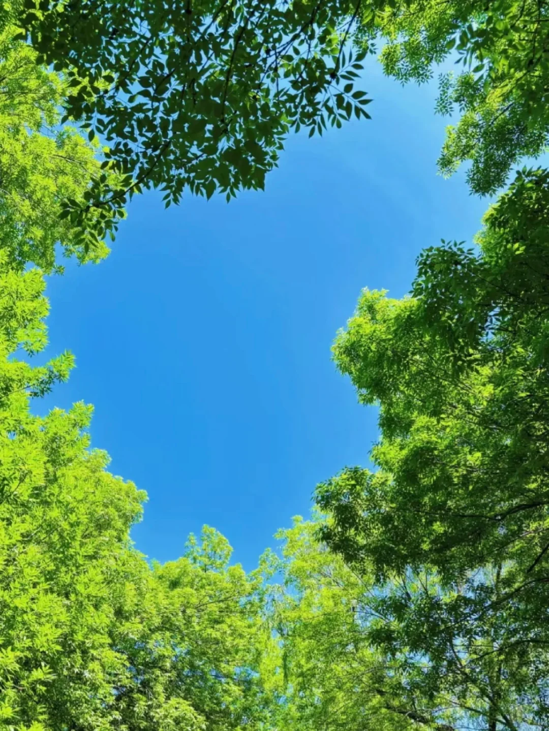 大钱——是需要逼出来背后的天赋的