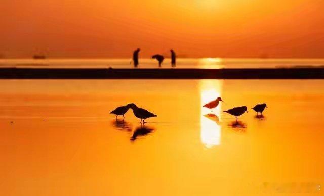 有些话，心里知道就好，不必说出来。 