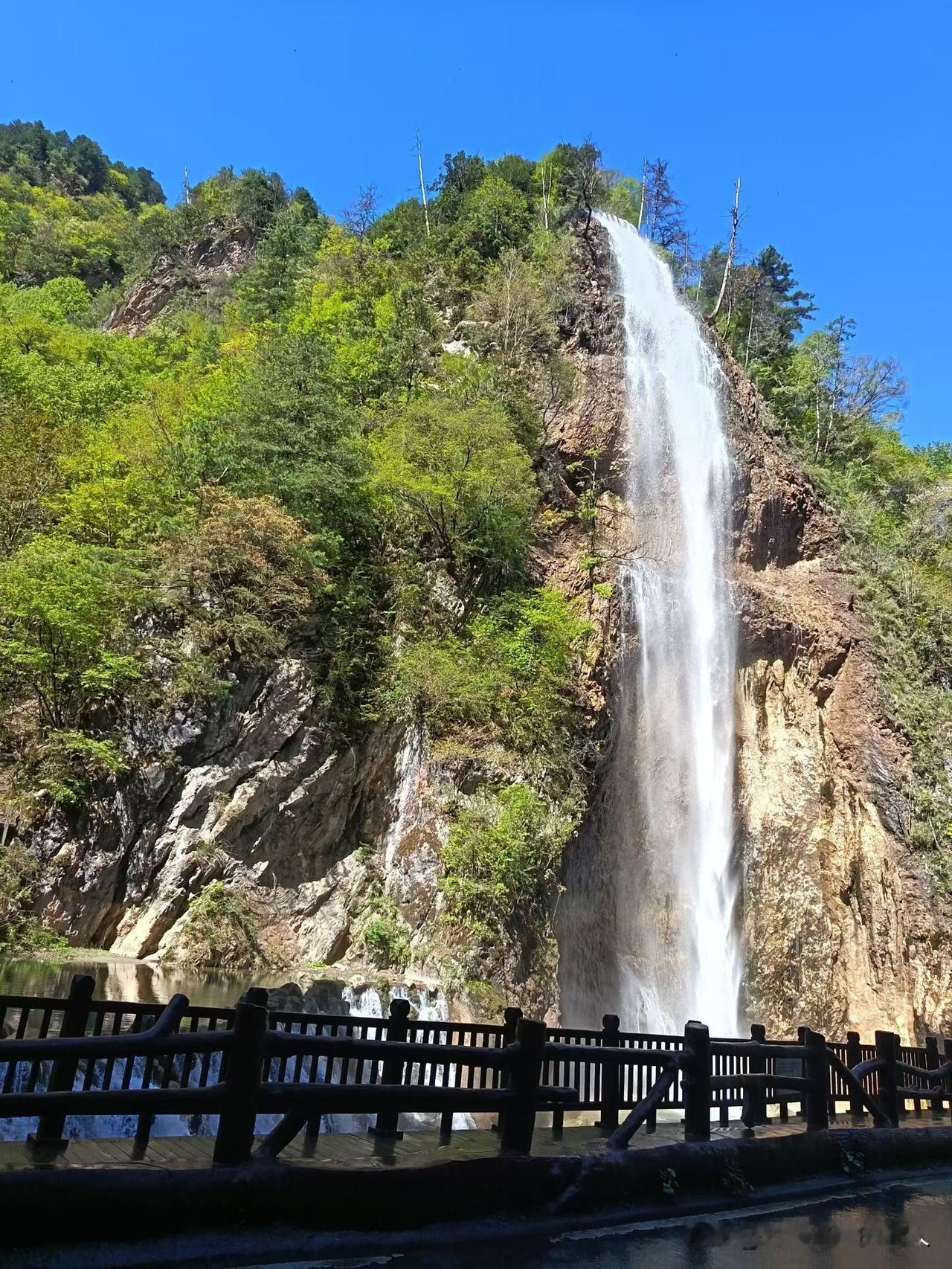 父母只是孩子成长路上的引导者，在关键岔路口给予方向建议，最终孩子的路还是要靠自己