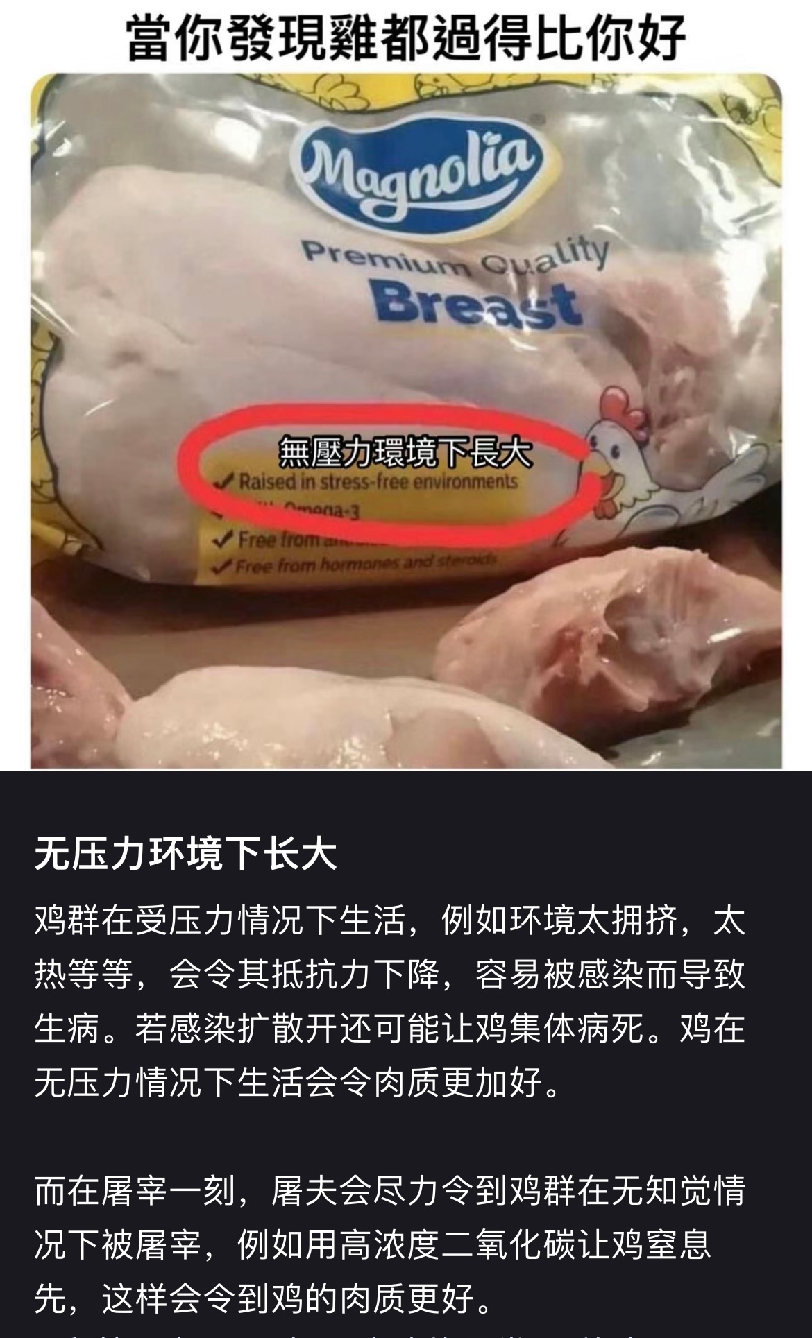 无压力环境下长大 肉才会好吃 怪不得没人喜欢我… ​​​