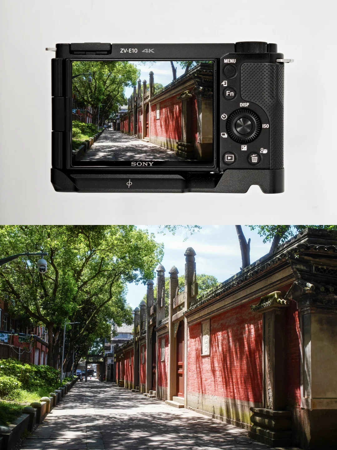 新手也能拍出梦幻电影感❗️秘诀就在这里❗