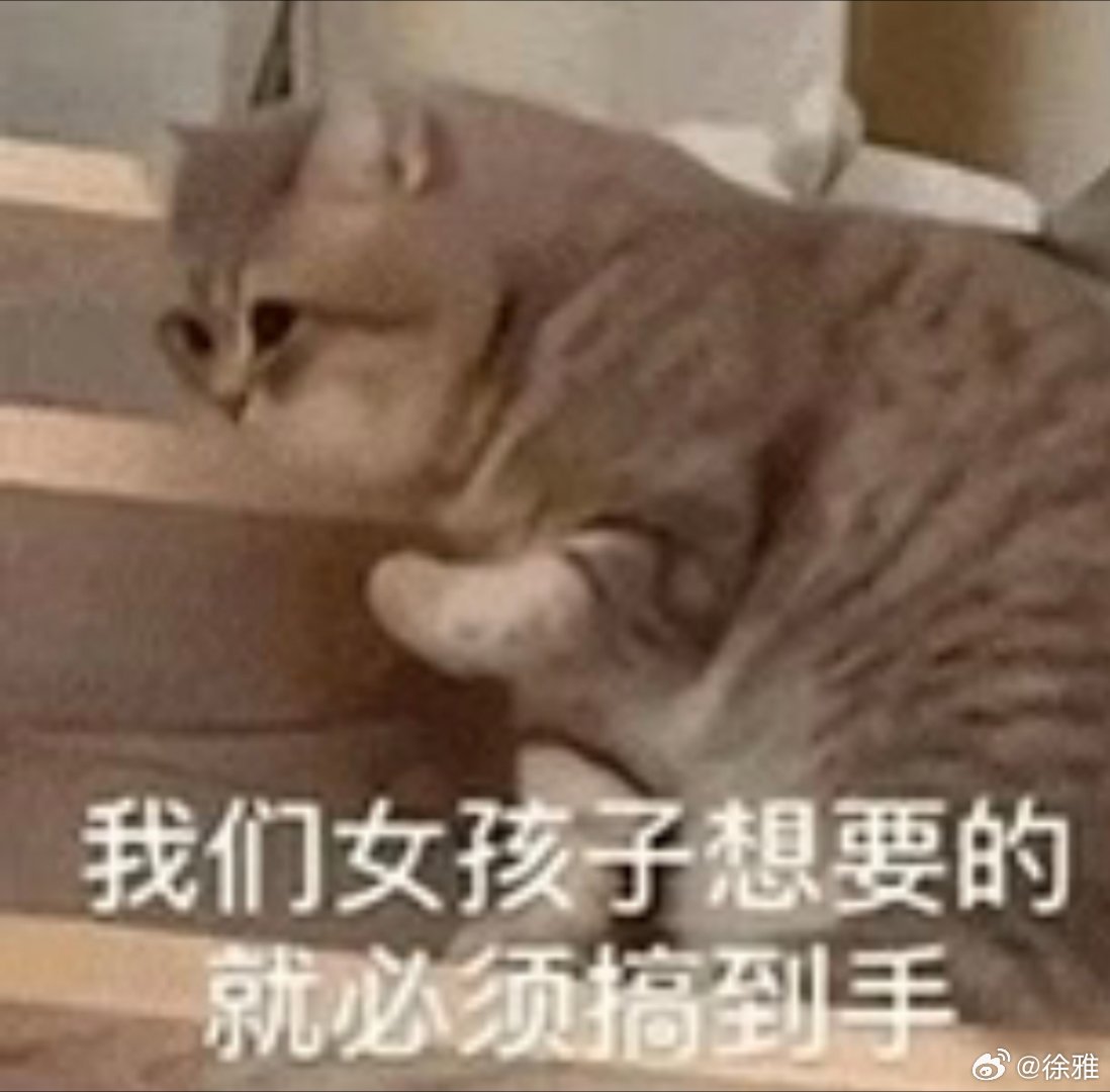 猫咪表情包。 