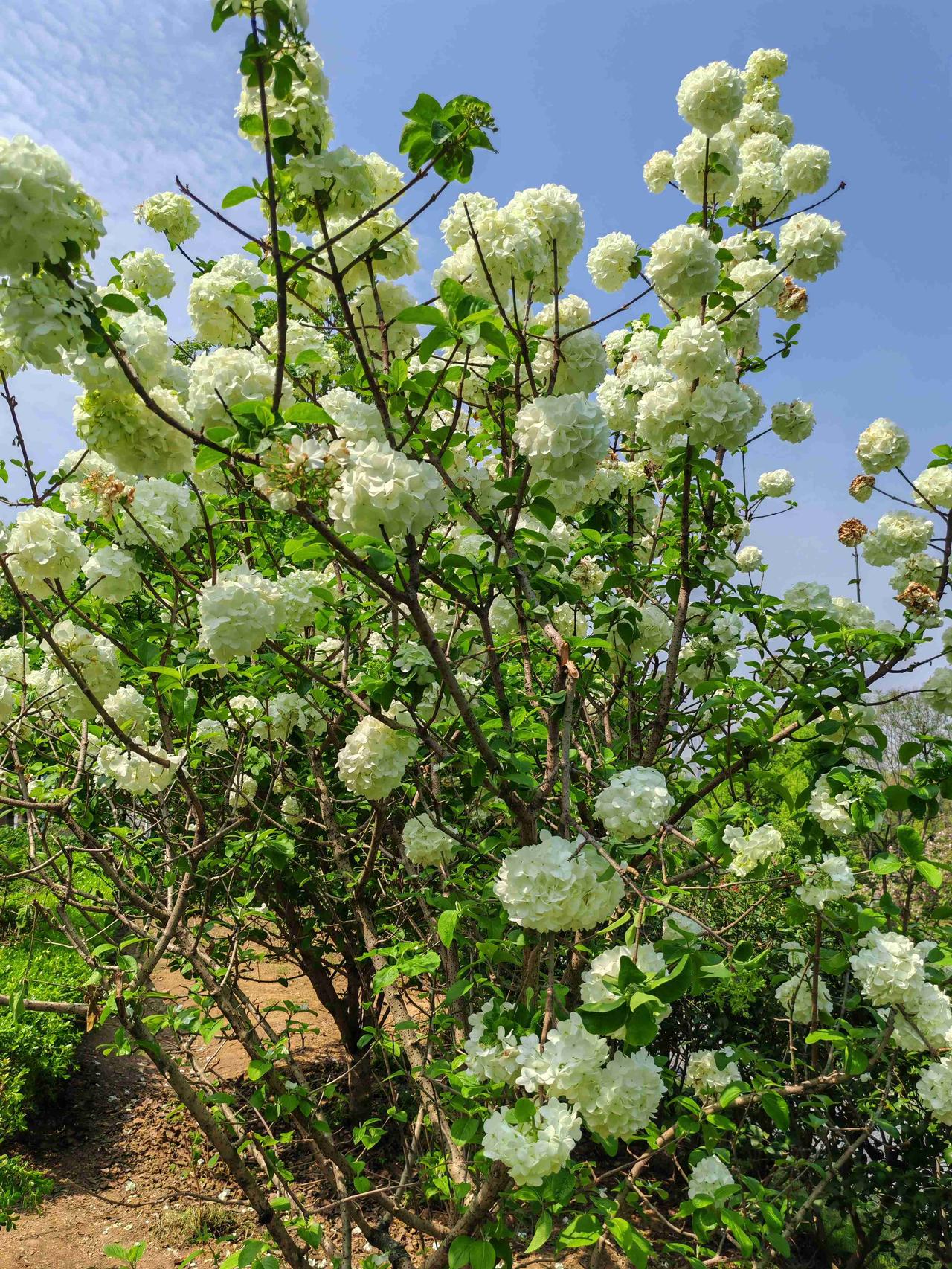 我的今日状态：😁轻松愉快
我这里的天气：☀️晴天