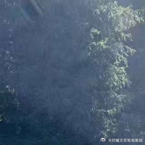 阳光信用lyw每日一善人最大的对手，往往不是别人，而是自己的懒惰。别指望撞大运，
