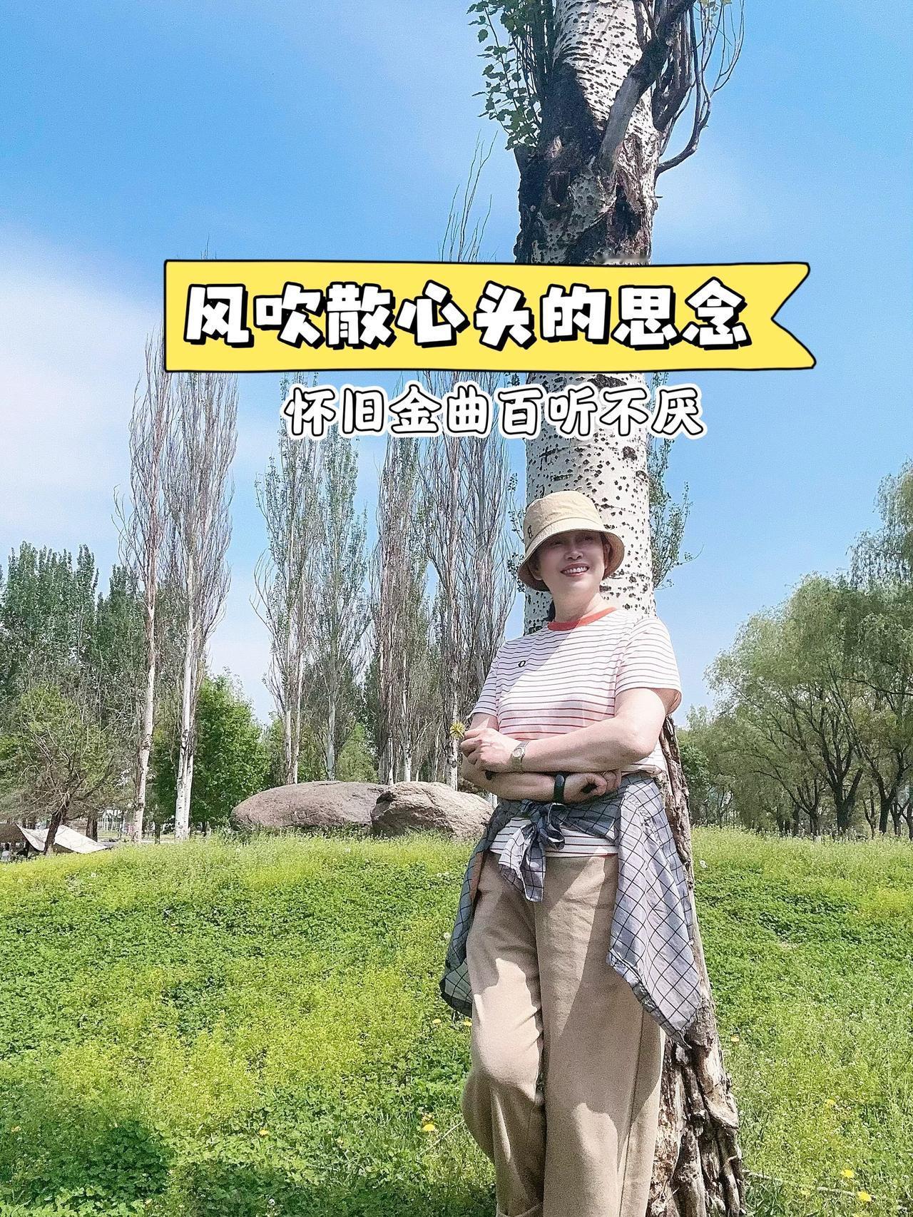 不必仰望任何人的通透与洒脱，波澜不惊的背后，都藏着无人知晓的遍体鳞伤。怀旧金曲