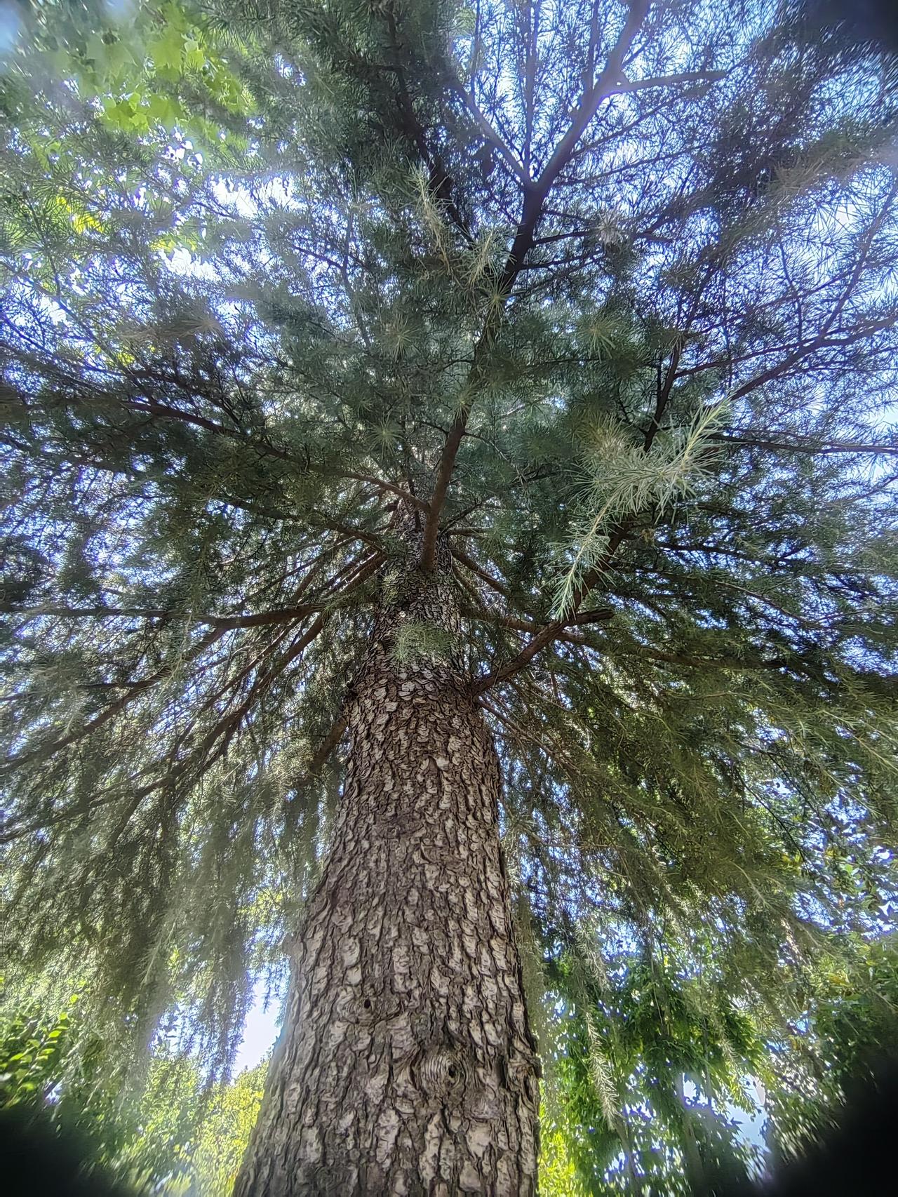 有条小街，约2里路，前几年经常穿过，路边小吃店至少9家，中午人满为患，有家大锅炖
