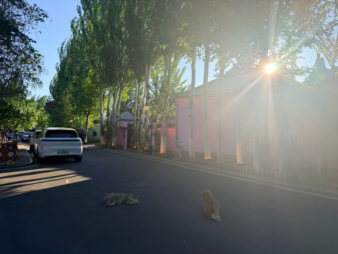 今天工作完还有点时间来六星街逛了一下到处都是彩色的，到处都是公主～ 伊宁·六星街