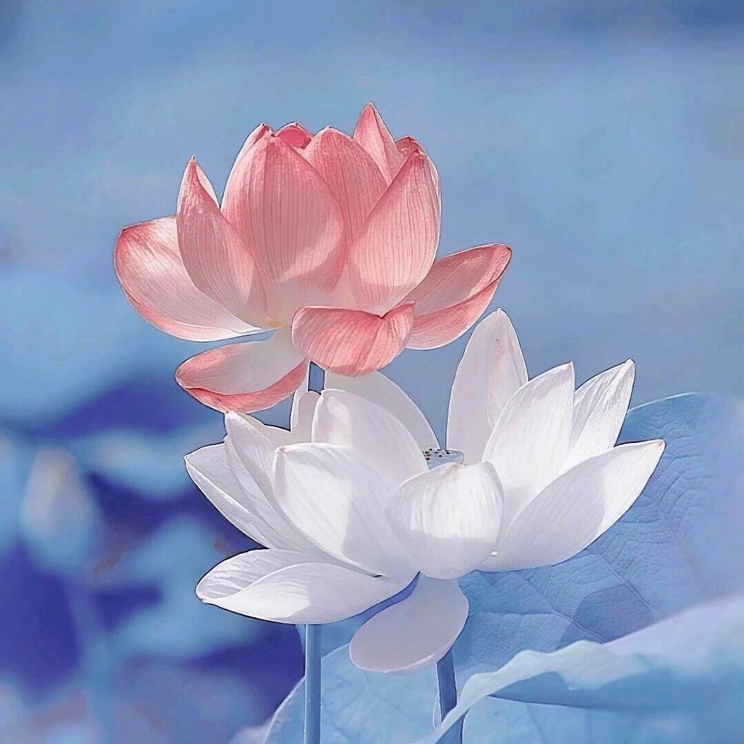 下联：气定如山傲骨存

赏析：上联“心清似水柔情在”以水喻心，凸显温柔纯净之美；