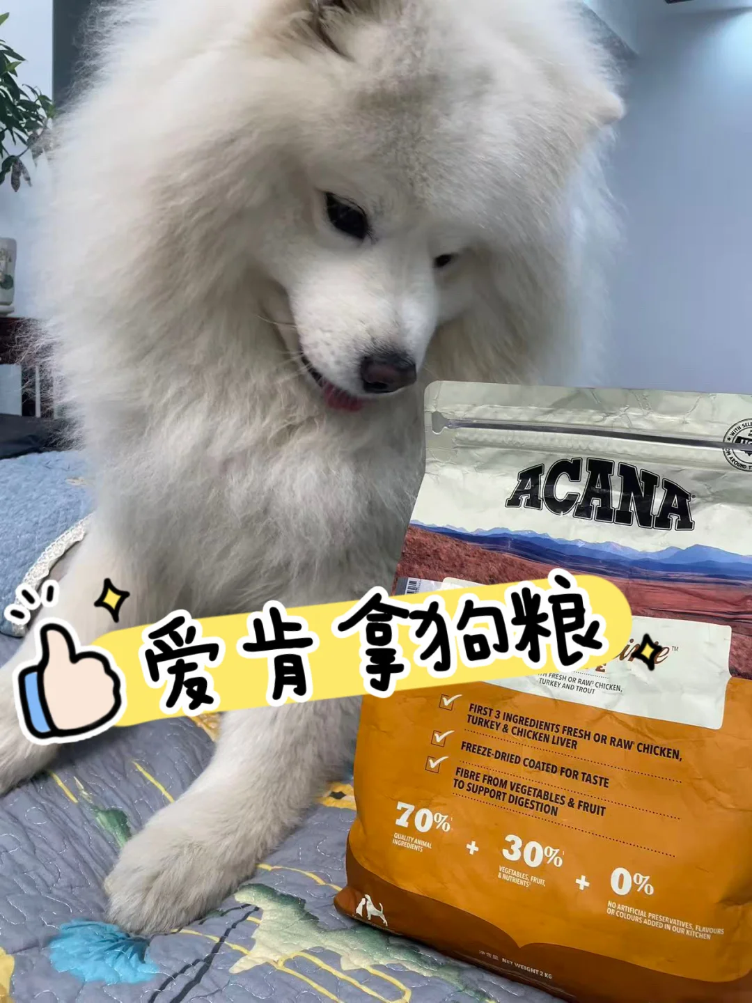 成分党铲屎深扒爱肯拿配方，我直接回购三年