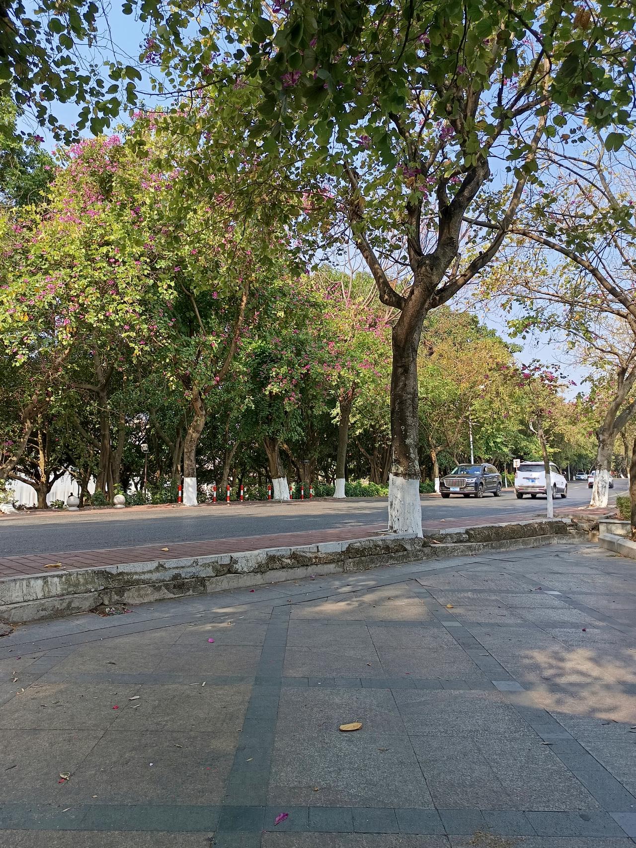 你有没有发现？
肇庆这个四五线城市
跟其他城市真的不一样？


你敢相信吗？这里