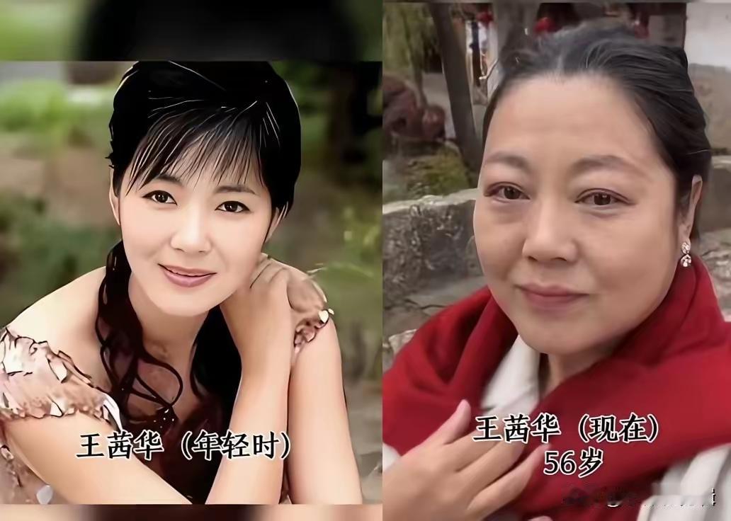 王茜华、梅婷、陈红、刘晓庆、陶红、赵明明、张凯丽、刘蓓、赵雅芝、倪萍、李嘉欣、王