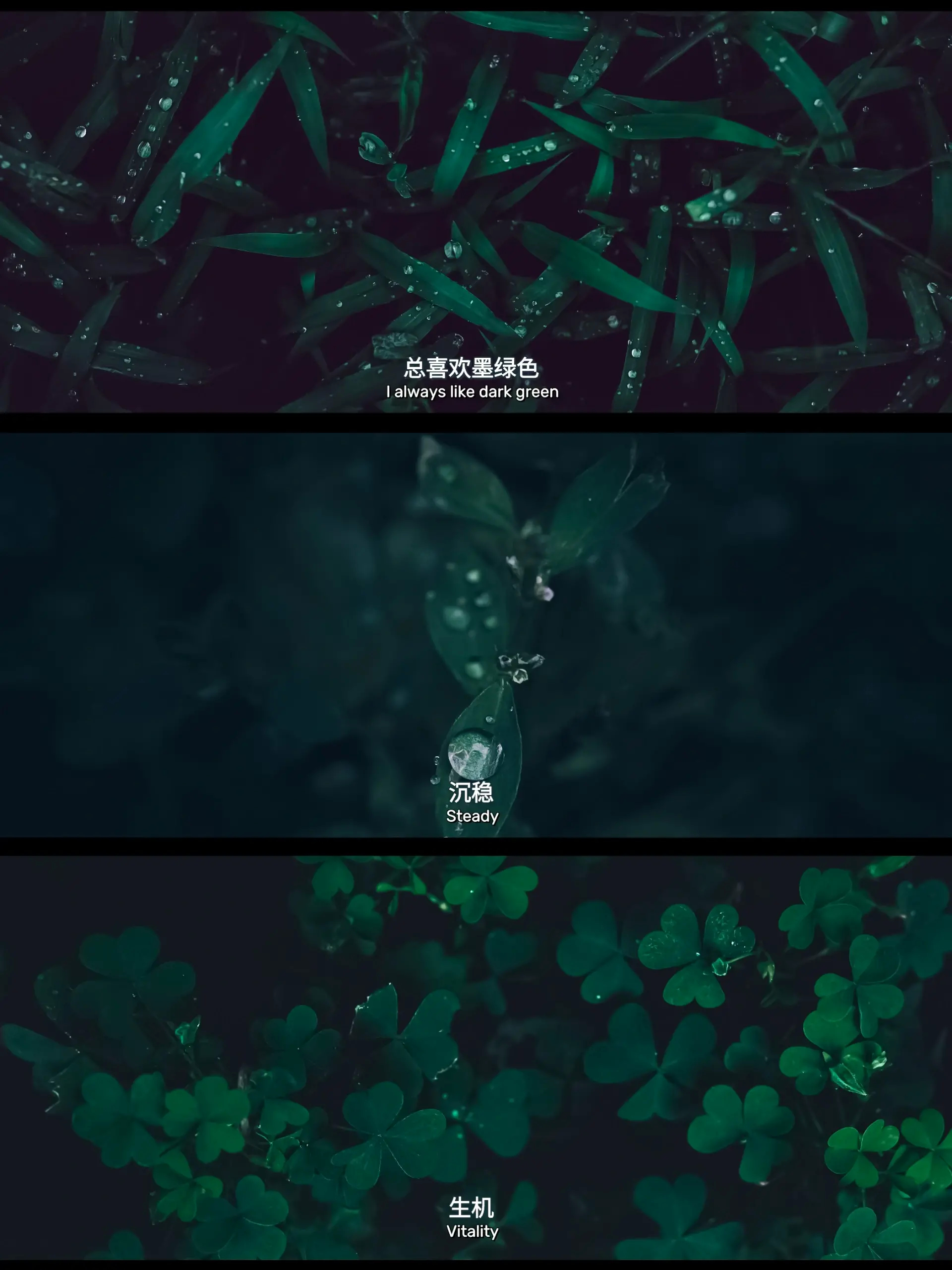 我在等 等一个同频共振的人！ 微博旅行ING盛夏追光之旅